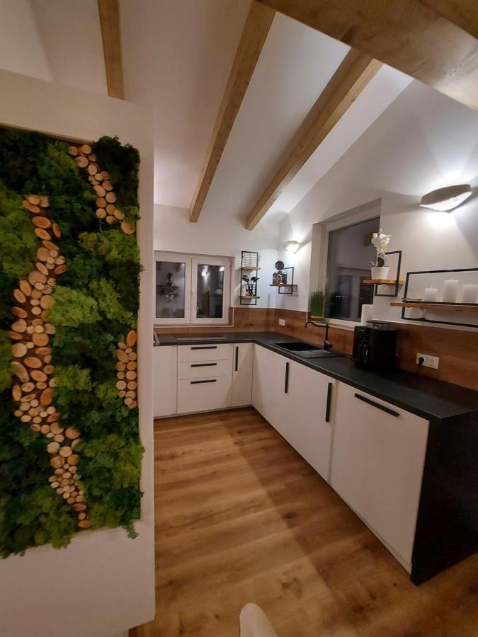 Auszeit Steiraland Penthouse 9 Mit Grossen Balkon Und Parkplatz Lägenhet Leoben  Exteriör bild